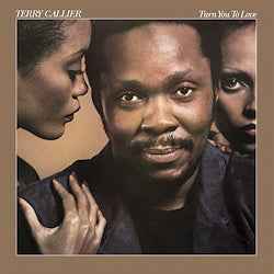 Turn You To Love [Vinyl]