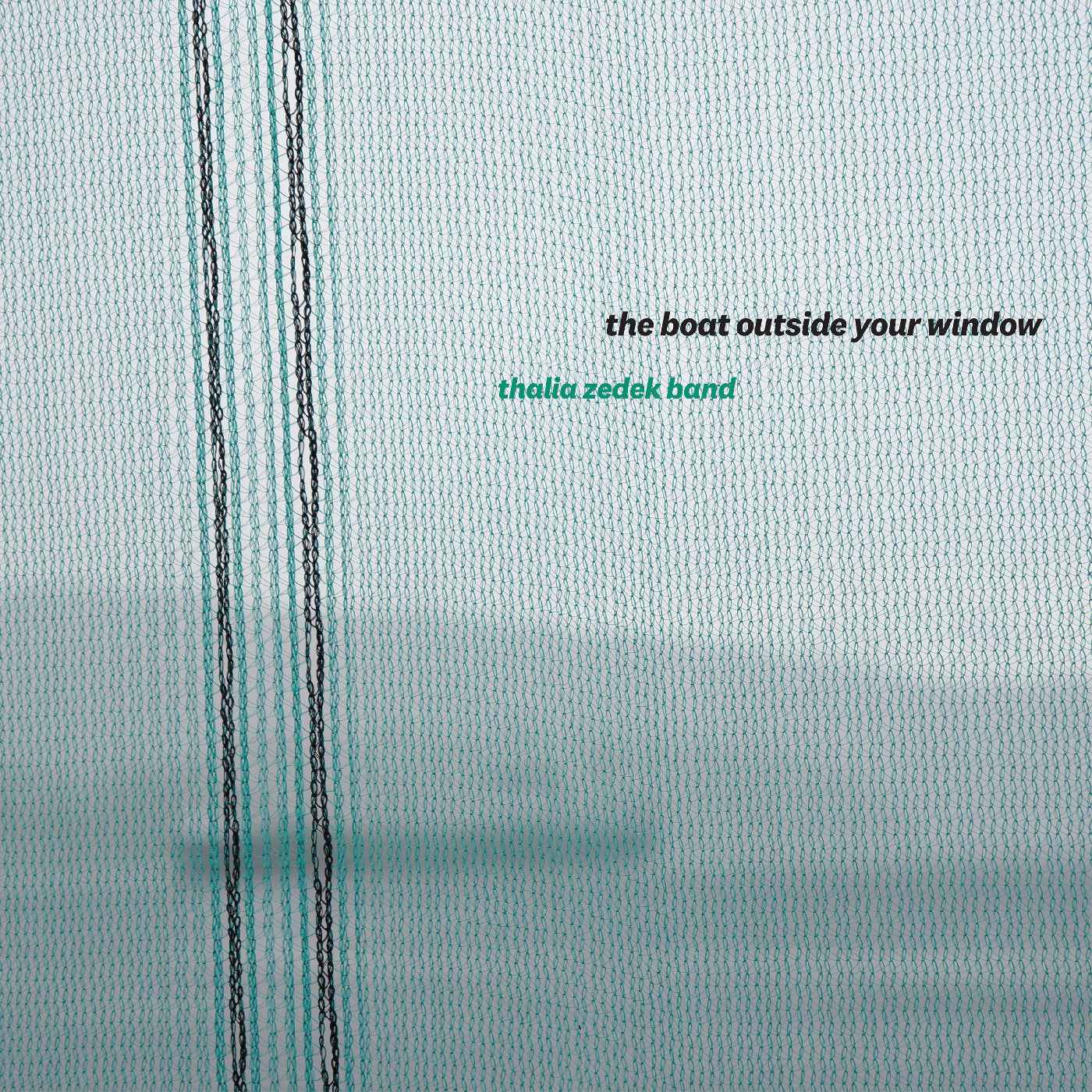 The Boat Outside Your Window [Vinyl]