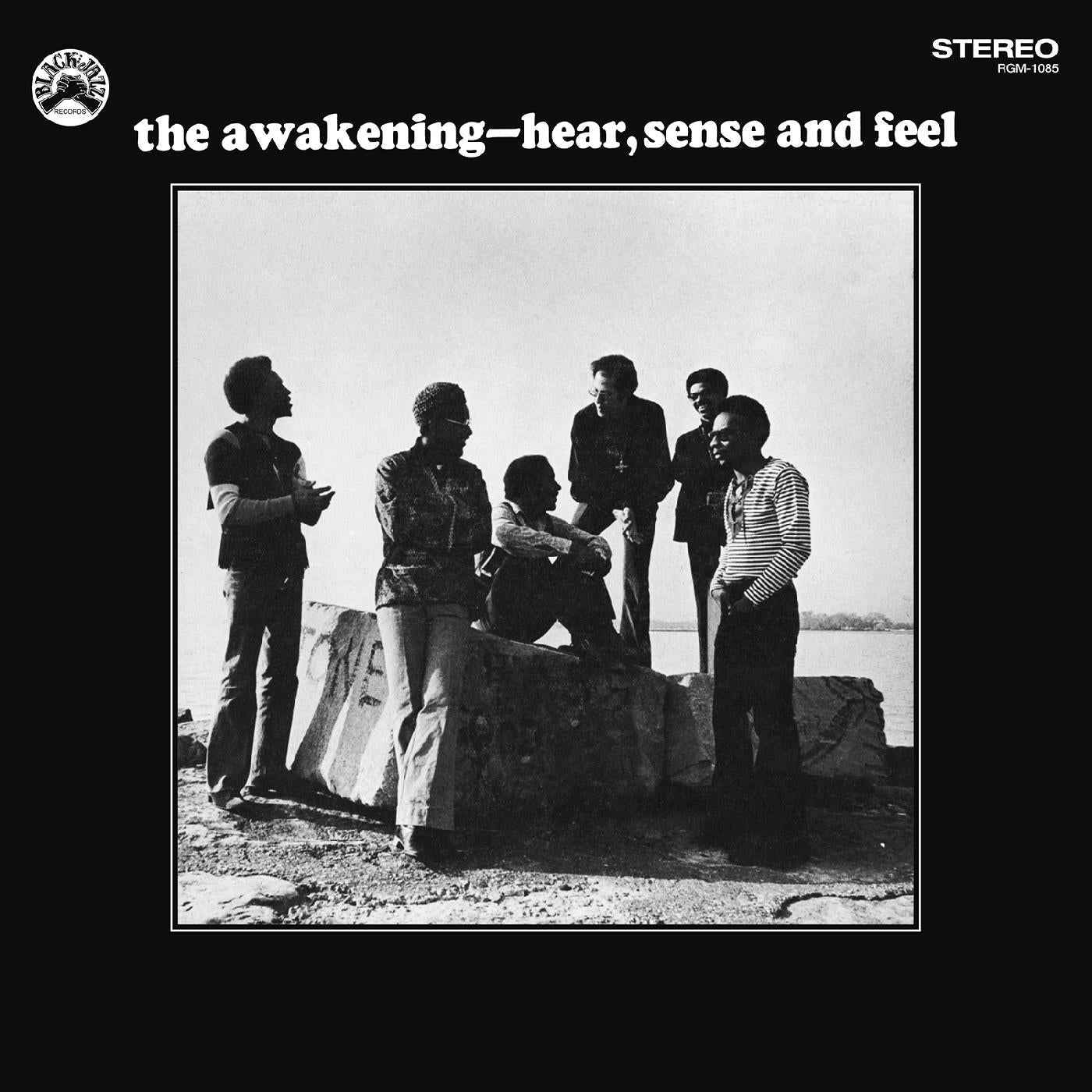 Hear Sense And Feel (Remastered) (Blue With Black Swirl Vinyl) [Vinyl]