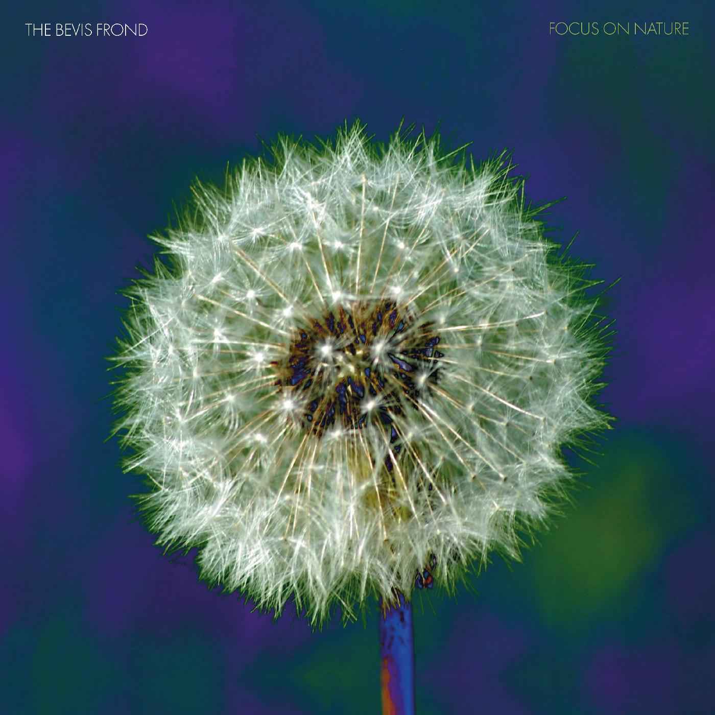 Focus on Nature (PURPLE VINYL) [Vinyl]