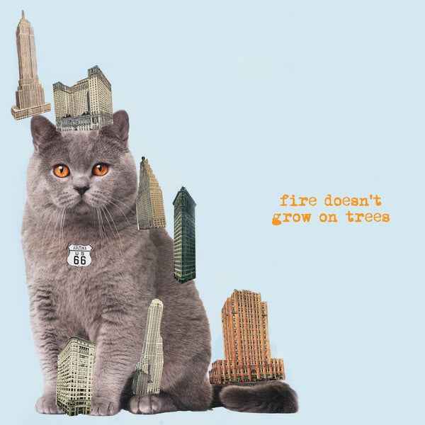 Fire Doesn't Grow On Trees [CD]