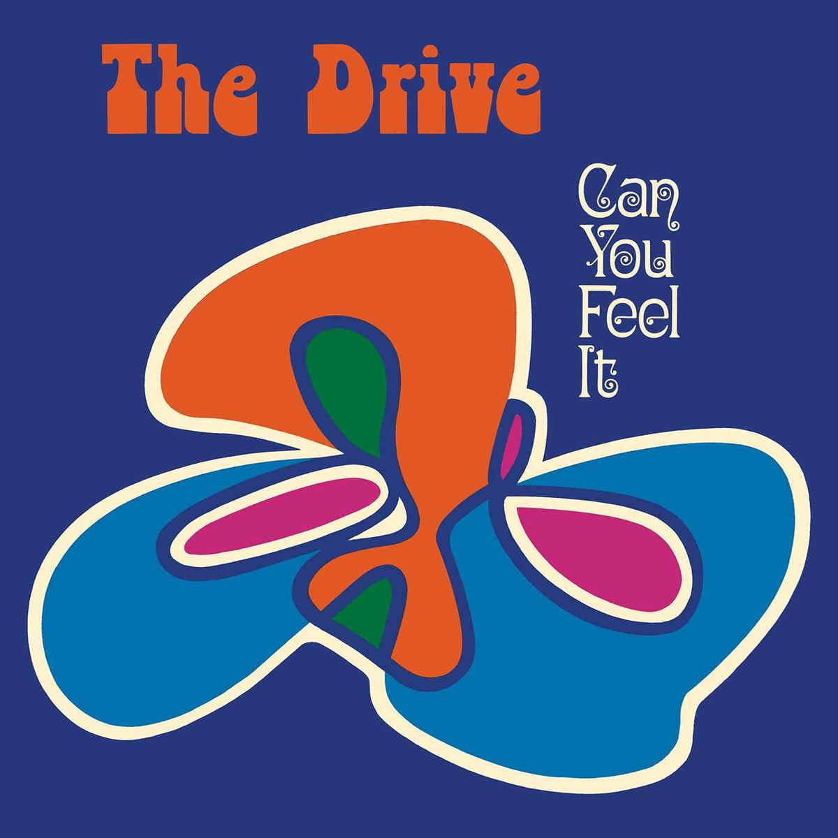 Can You Feel It? [Vinyl]