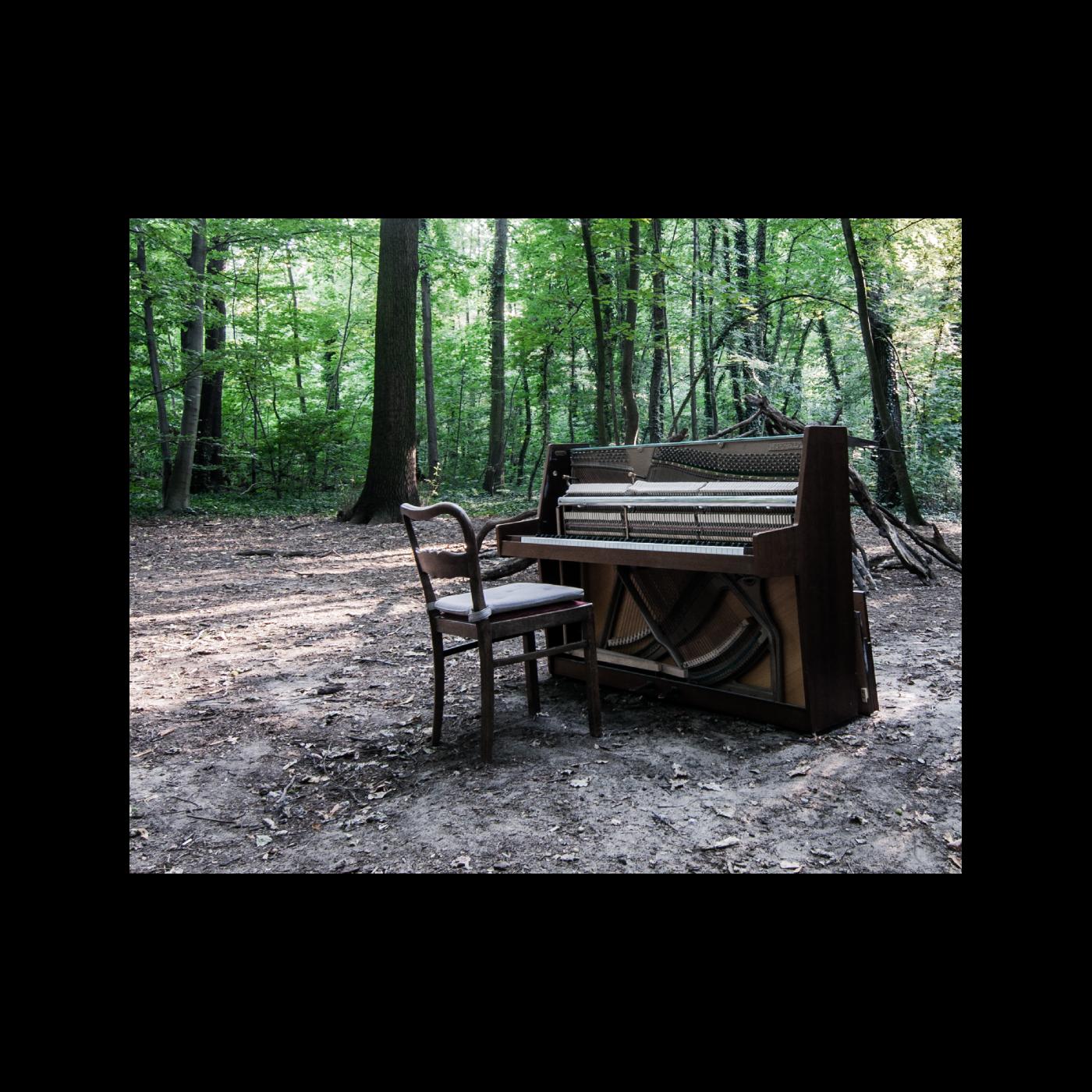 Acoustic II [Vinyl]