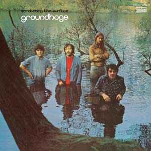 Scratching the Surface [Vinyl]