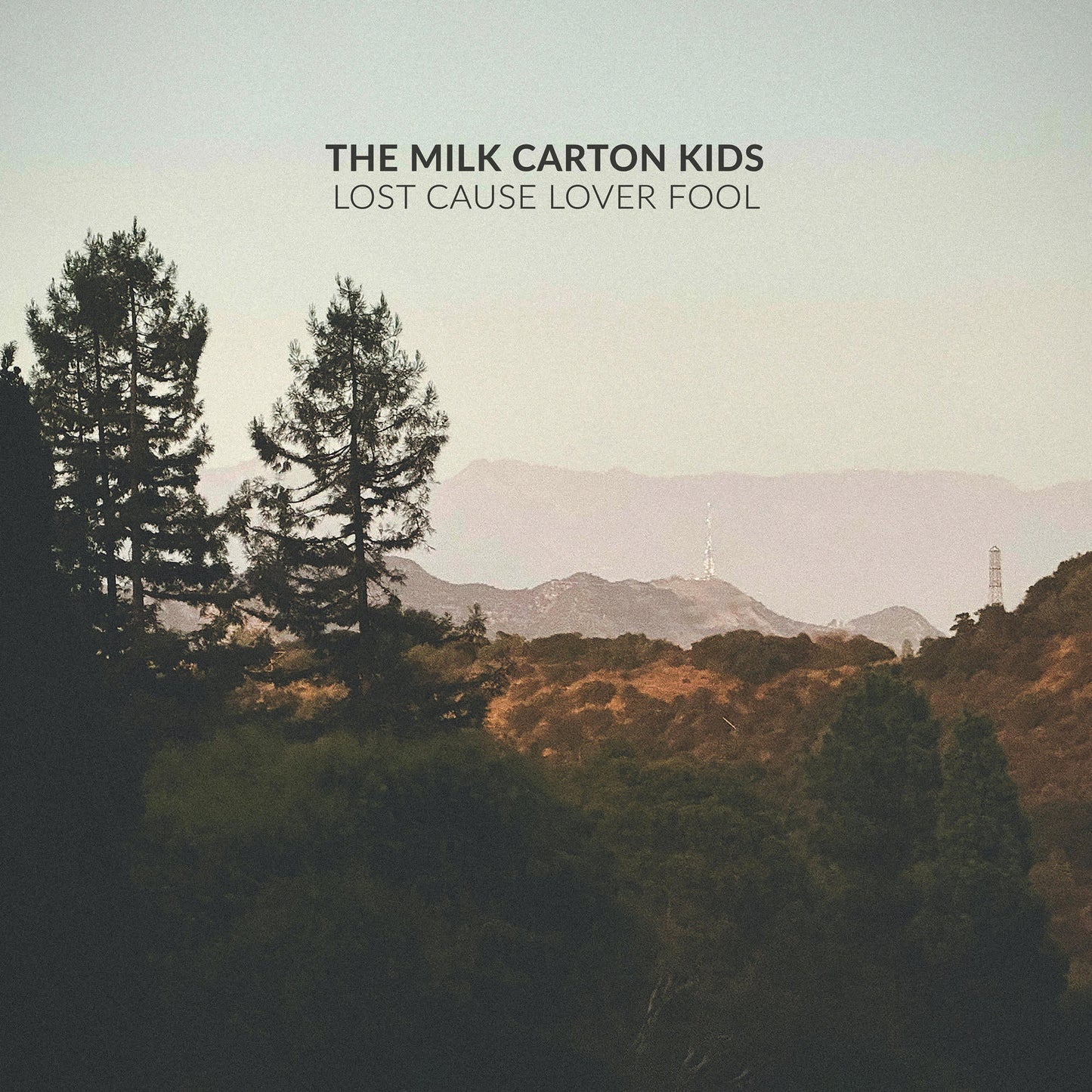 Lost Cause Lover Fool [Standard Black Vinyl] [Vinyl]