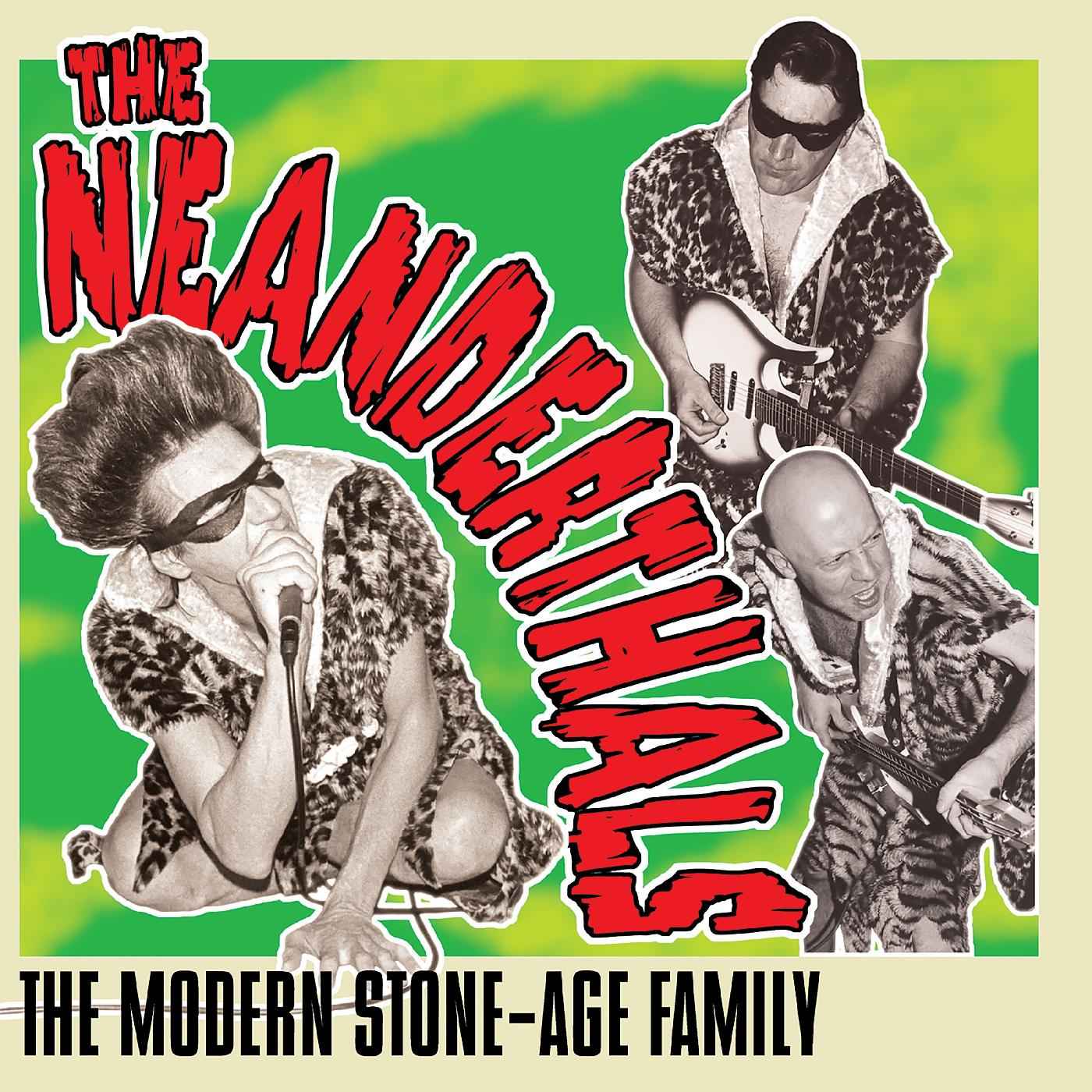 The Modern Stone-Age Family (GREY VINYL) [Vinyl]