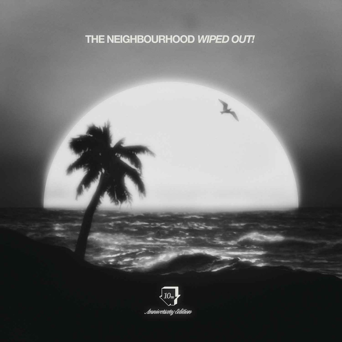 Wiped Out! 10Th Anniversary (180G) [2LP] [Vinyl]