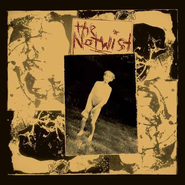The Notwist (30 Year Anniversary Edition) [CD]