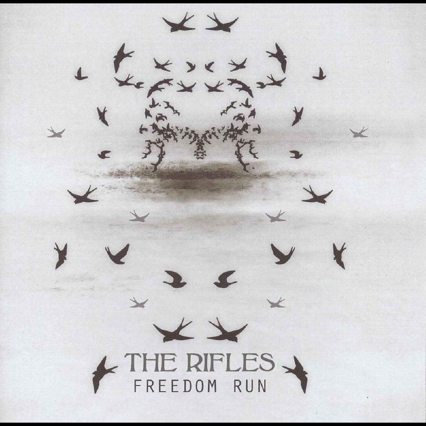 The Rifles - Freedom Run (Rosewood Vinyl) [Vinyl]