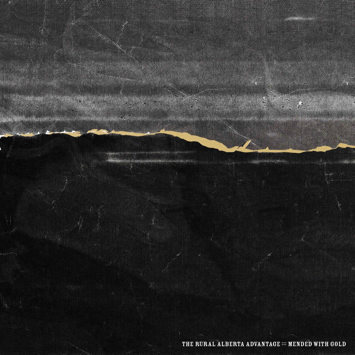 Mended With Gold [Vinyl]