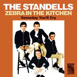 Zebra in the Kitchen / Someday You'll Cry [Vinyl]