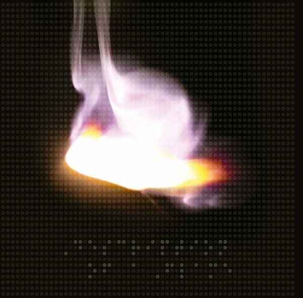 Description of a Flame [CD]
