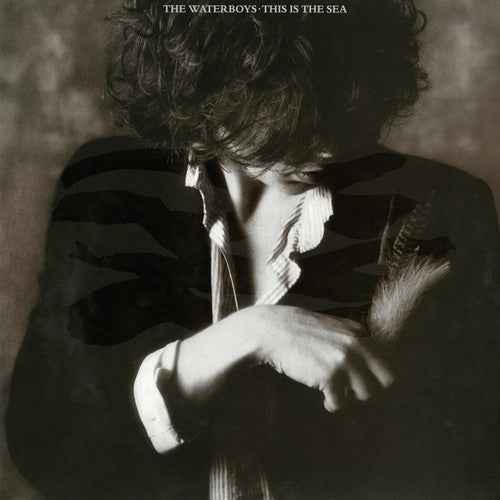 This Is the Sea (180 Gram Vinyl) [Vinyl]