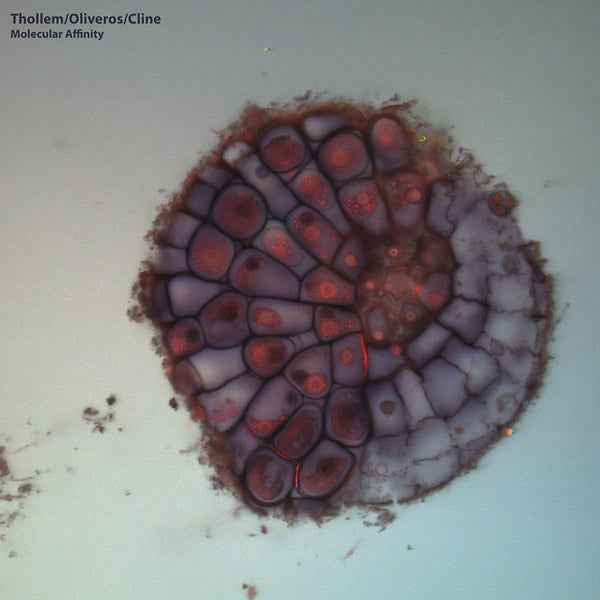THOLLEM MCDONAS/PAULINE OLVEROS/NELS CLINE - Molecular Affinity [Vinyl]
