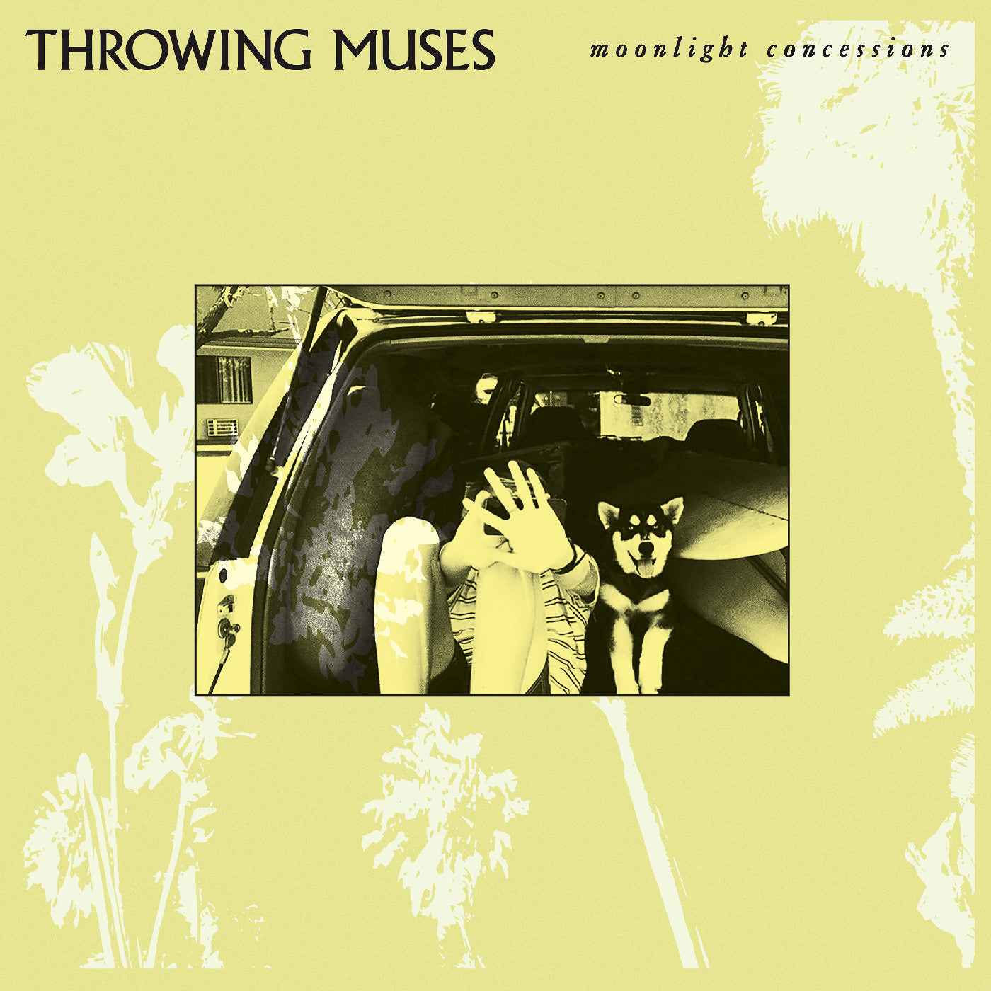 Moonlight Concessions (Cream Vinyl) [Vinyl]