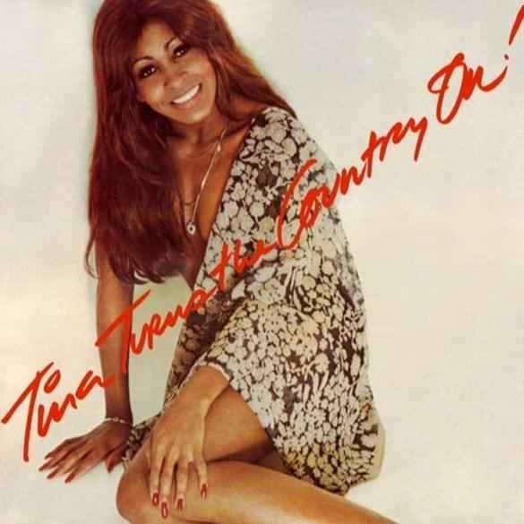 Tina Turns The Country On! [Vinyl]