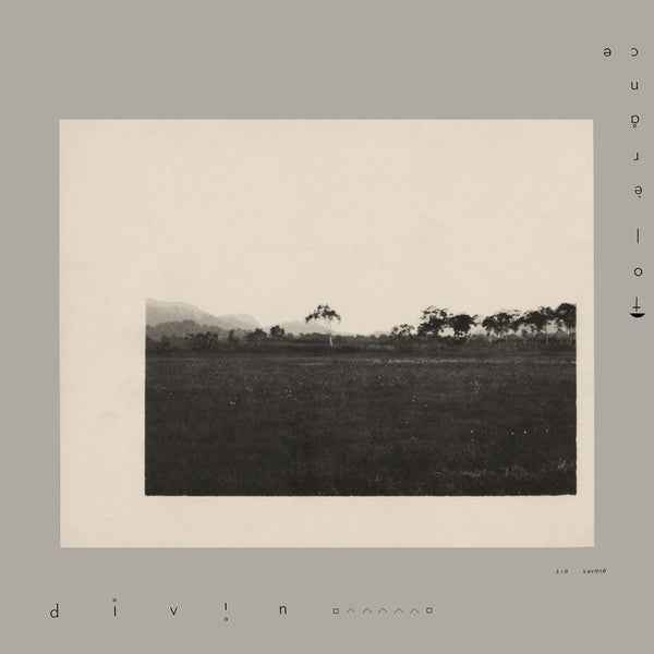 TOLERANCE - DIVIN [Vinyl]