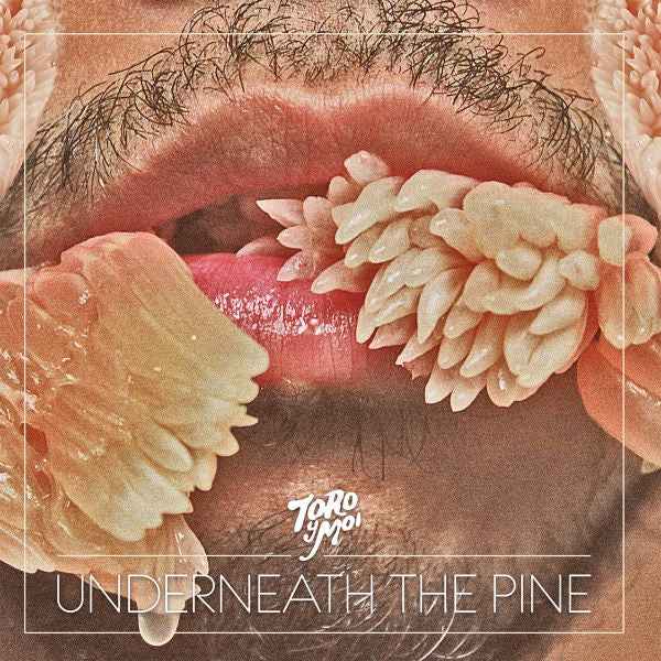 Underneath The Pine [CD]