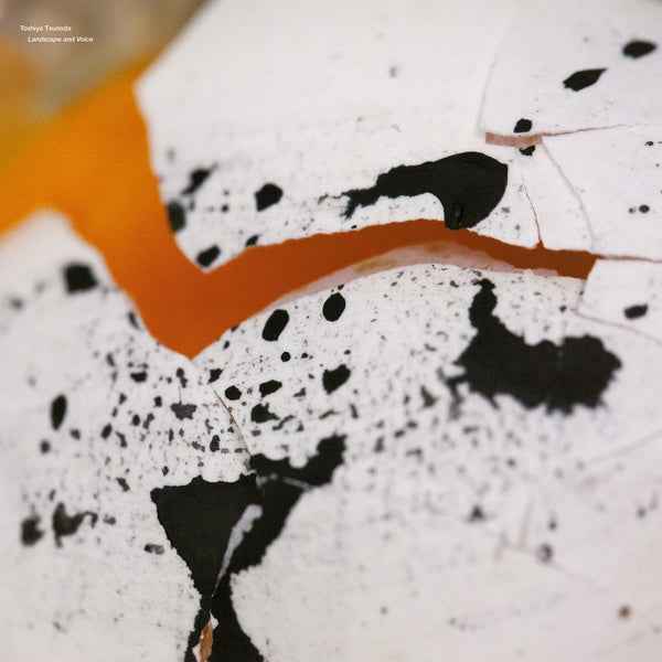 Landscape and Voice [Vinyl]