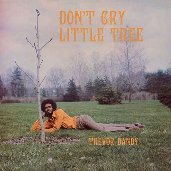 Don't Cry Little Tree [CD]