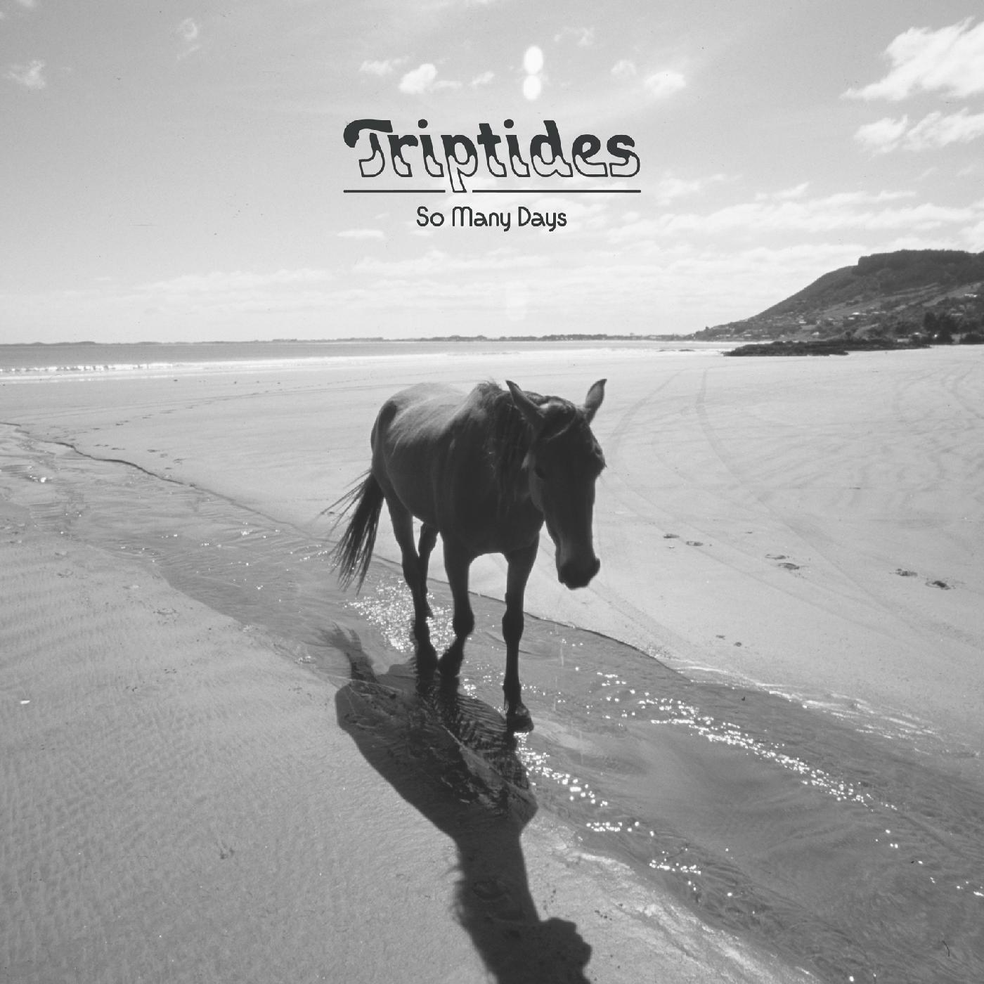 So many days [Vinyl]