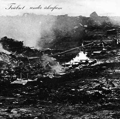 Undir Áhrifum [CD]
