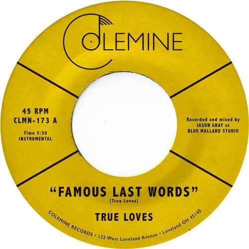 Famous Last Words (7" Single) [Vinyl]