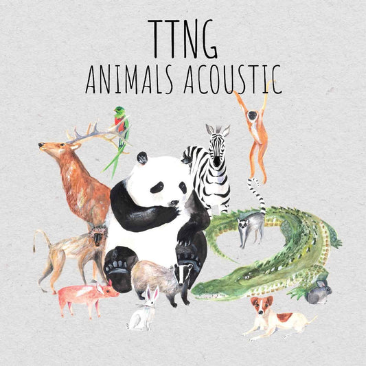 Animals Acoustic [CD]