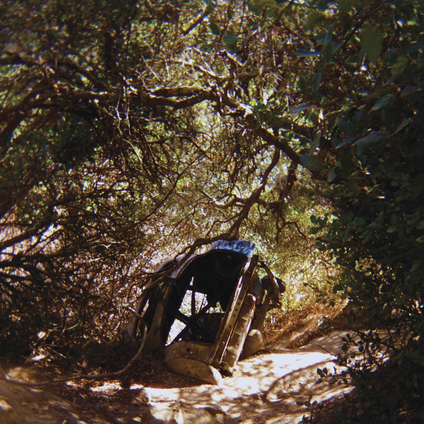 Ty Segall - Possession [CD]