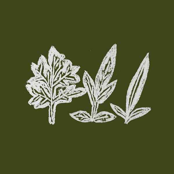Variations of Weeds [CD]
