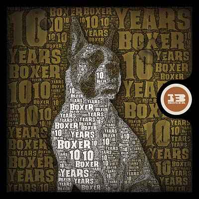 10 Years Of Boxer [CD]