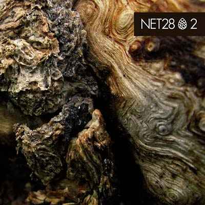 2 [CD]