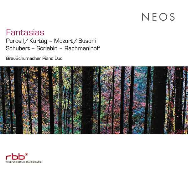 Fantasias [CD]