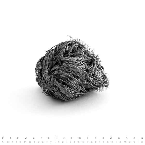 Flowers From The Ashes: Contemporary Italian Electronic Music [CD]