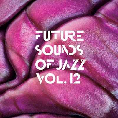 Future Sounds Of Jazz Vol. 12 [CD]