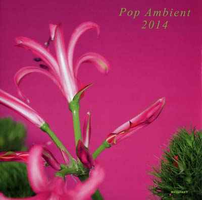 Pop Ambient 2014 [CD]