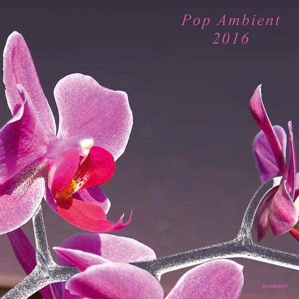 Pop Ambient 2016 [Vinyl]