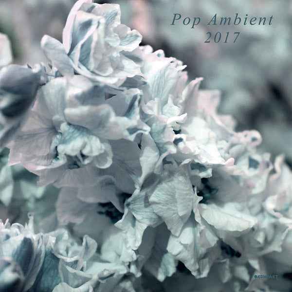 Pop Ambient 2017 [CD]