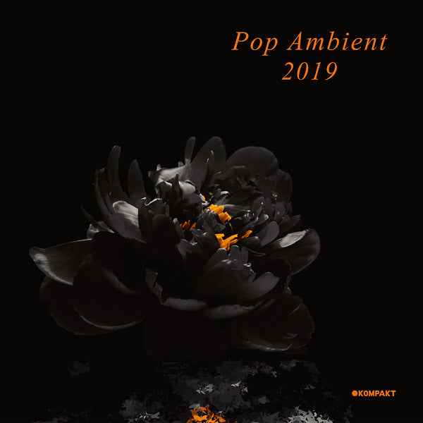 Pop Ambient 2019 [Vinyl]