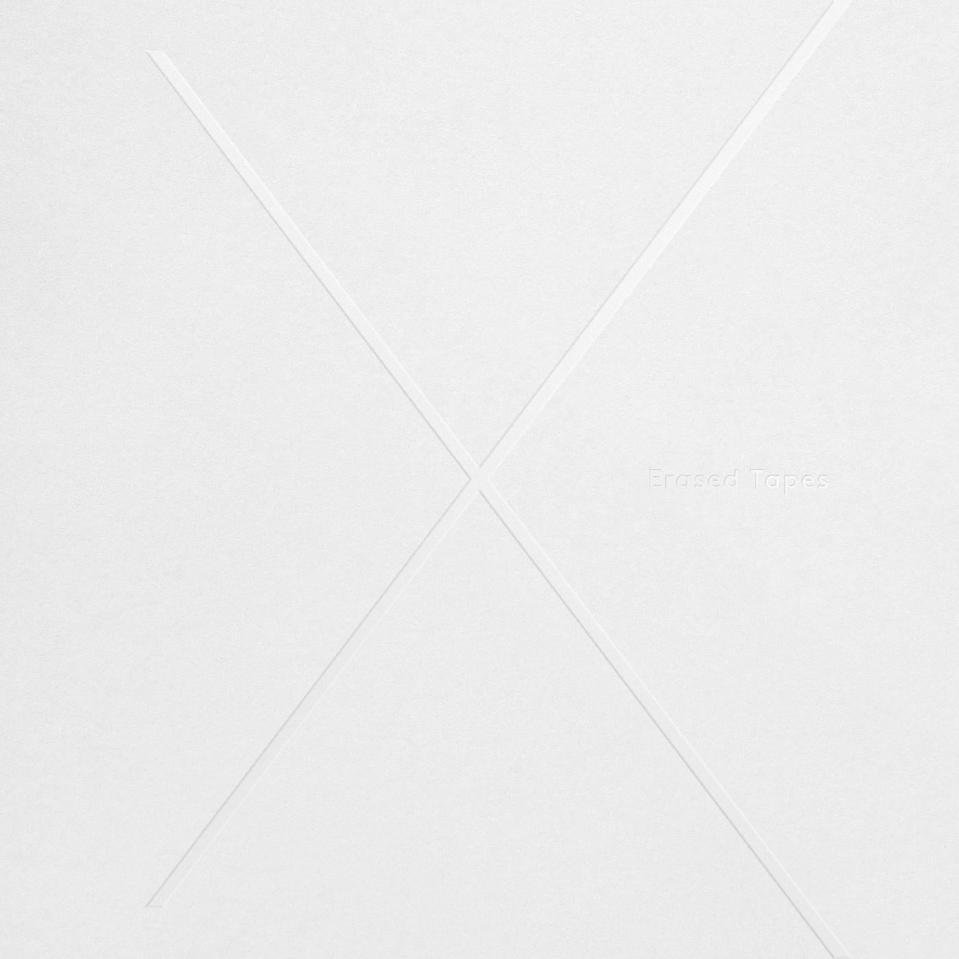 Various Artists - 1+1=X [Vinyl]