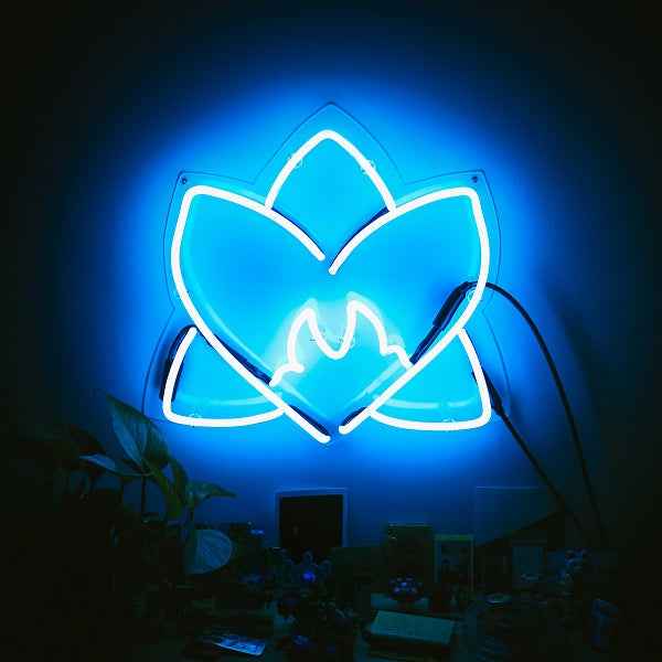 Radiating Light [Vinyl]