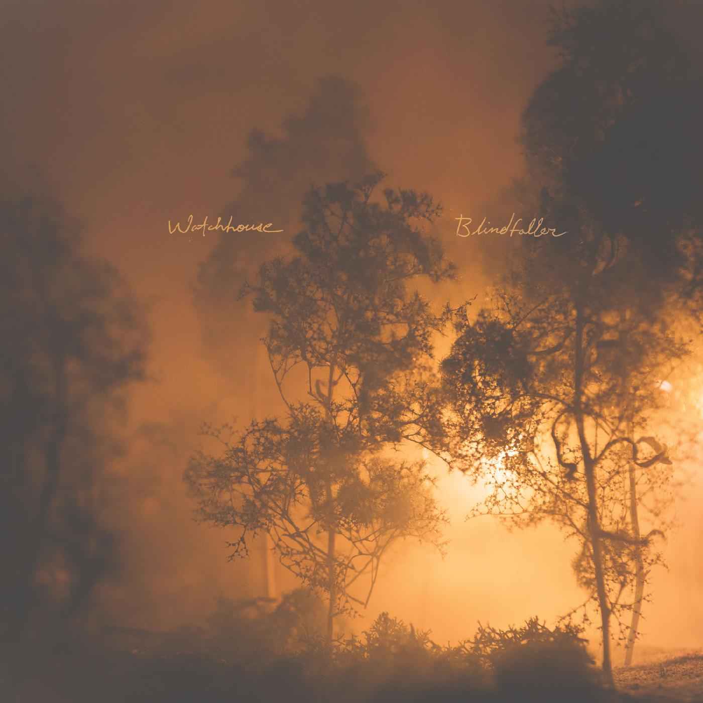 Blindfaller [CD]