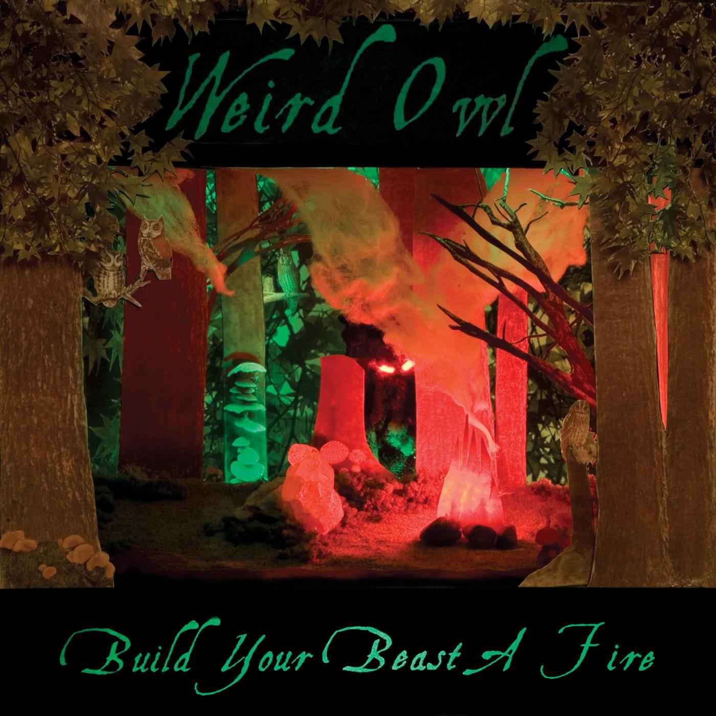Build Your Beast A Fire [CD]