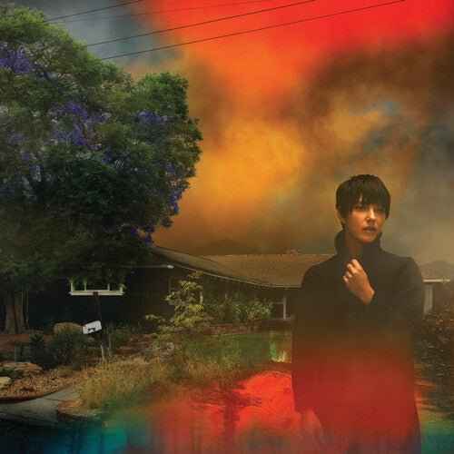 We've Been Going About This All Wrong (2LP, Custard, Ltd. Ed.) [Vinyl]