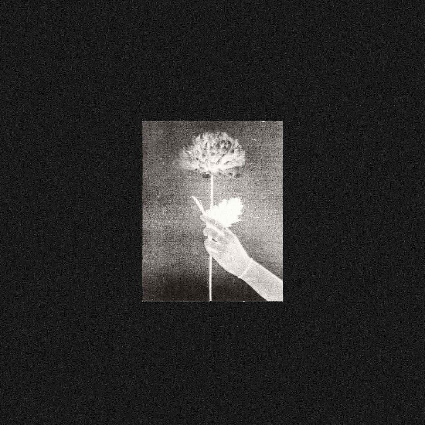 White Flowers - Day By Day (BLUE VINYL) [Vinyl]