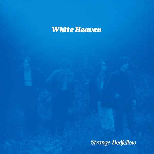 Strange Bedfellow [Vinyl]