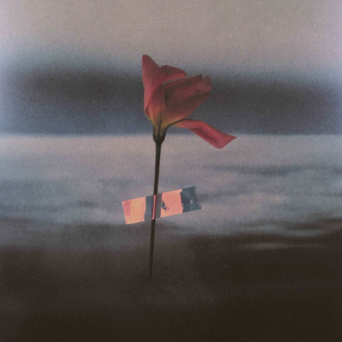 Paralanguage (COLOR VINYL) [Vinyl]