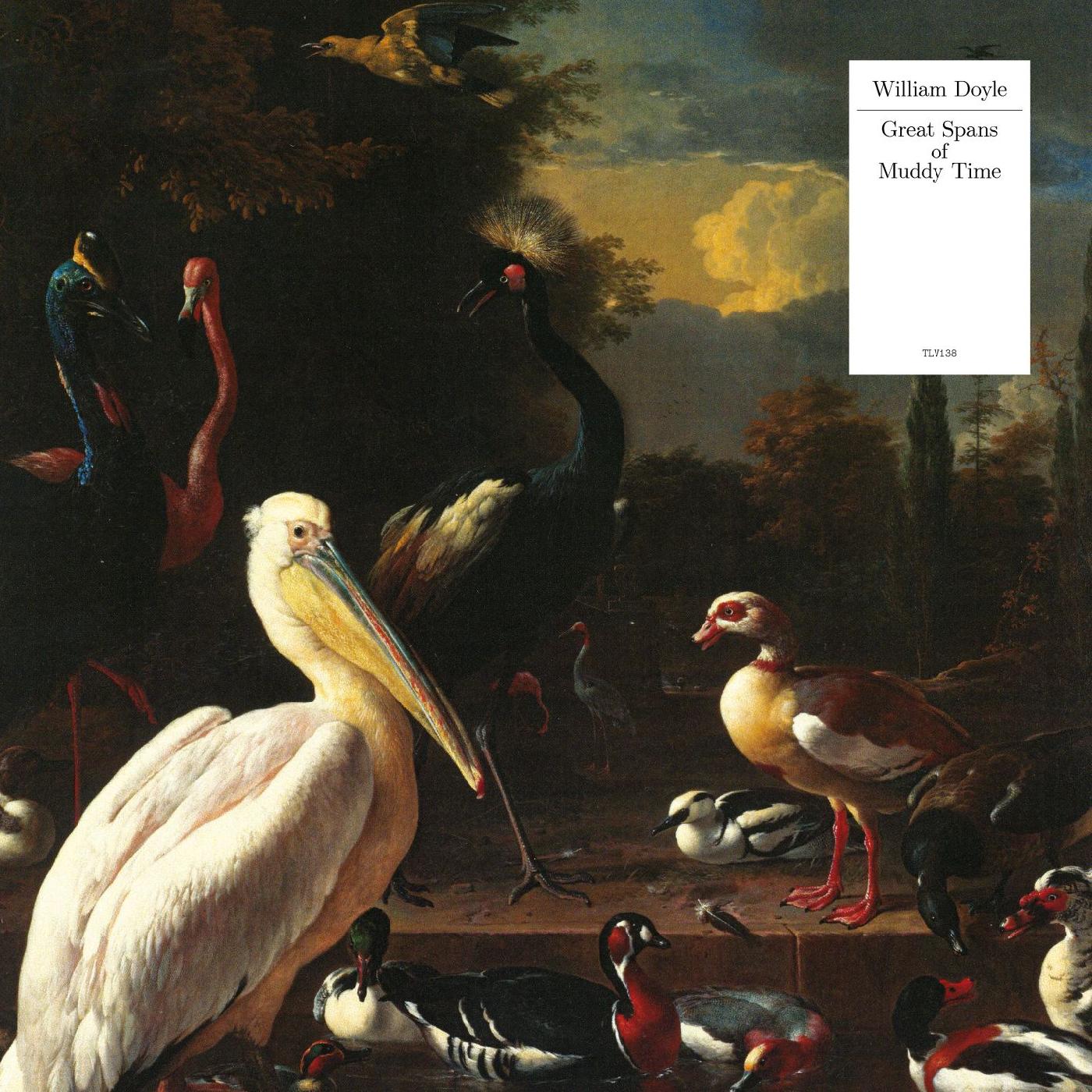 William Doyle - Great Spans Of Muddy Time (WHITE VINYL) [Vinyl]