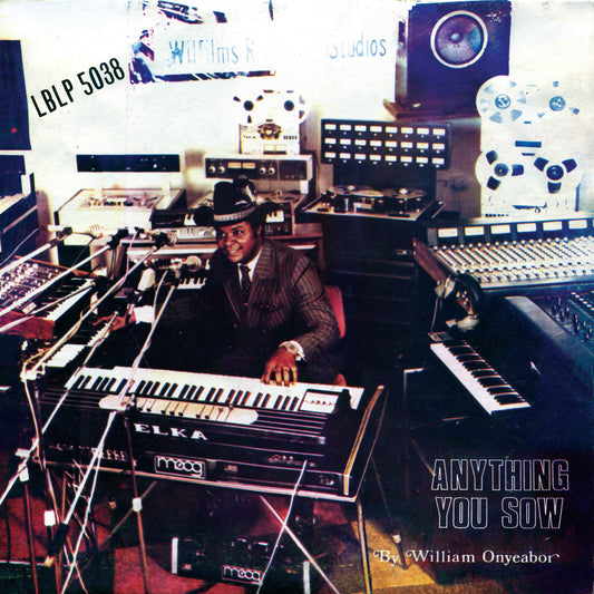 Anything You Sow [Vinyl]