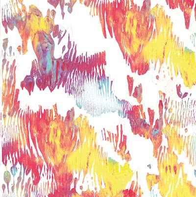 XIPHIIDAE - Pass Hidingly Seek [Vinyl]